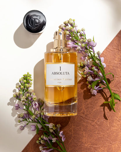 1 - Absoluta