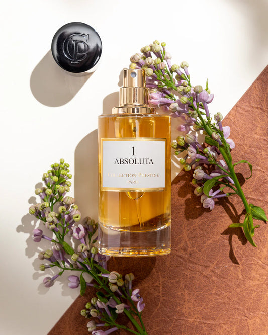 1 - Absoluta