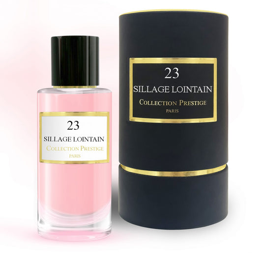 23 - Sillage Lointain