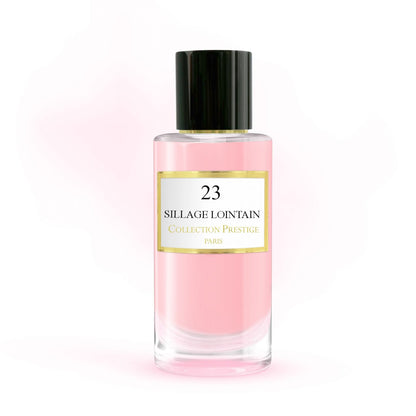 23 - Sillage Lointain