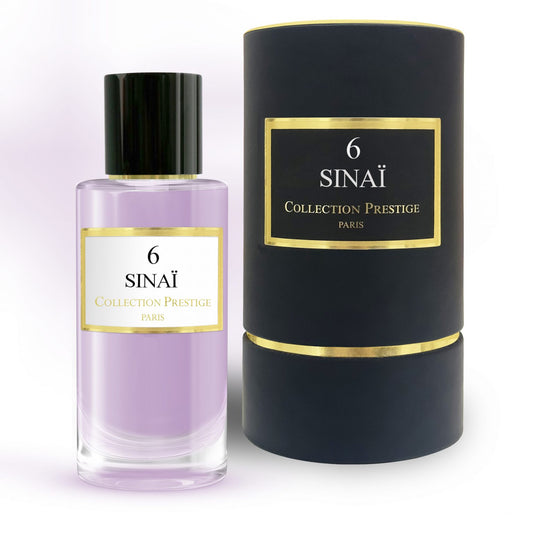 6 - Sinaï