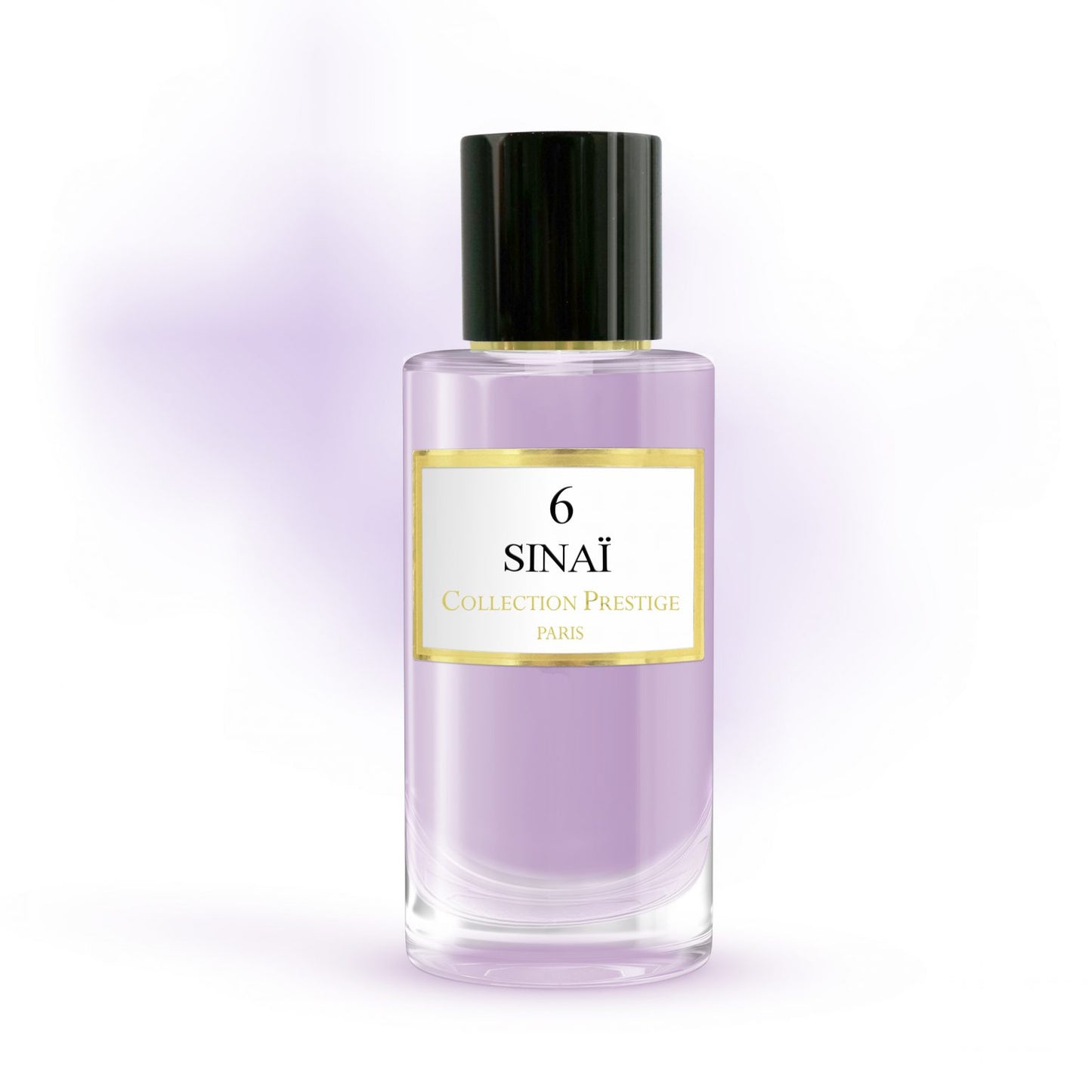 6 - Sinaï