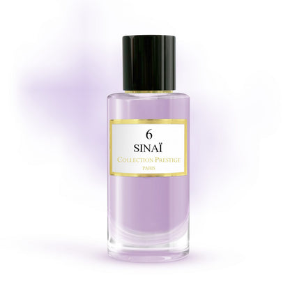 6 - Sinaï